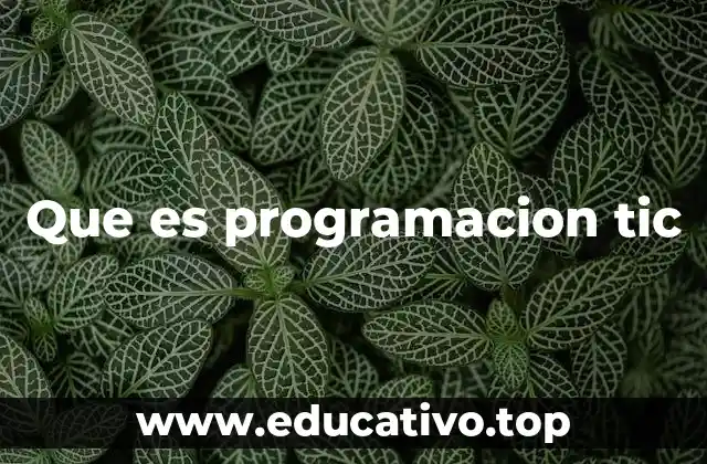 Que es programacion tic