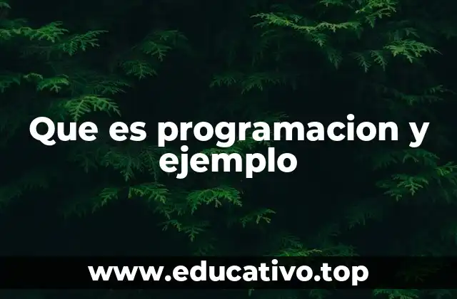 Que es programacion y ejemplo