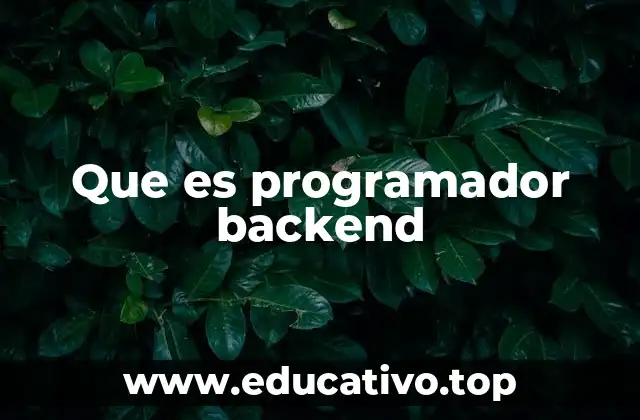 Que es programador backend