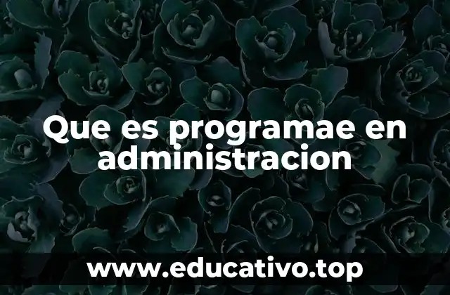 La importancia de la planificación en la gestión empresarial