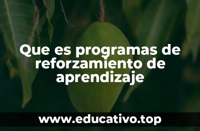 Que es programas de reforzamiento de aprendizaje