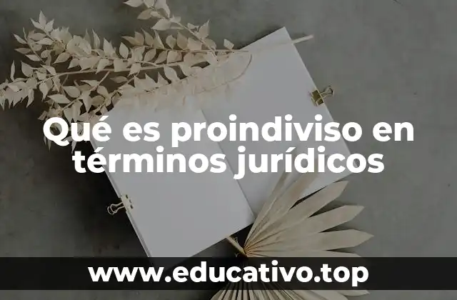 Qué es proindiviso en términos jurídicos