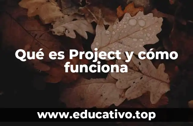 La importancia de una herramienta de gestión de proyectos en el entorno empresarial