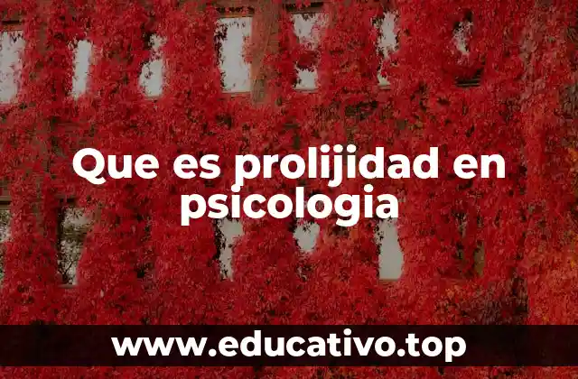 Que es prolijidad en psicologia