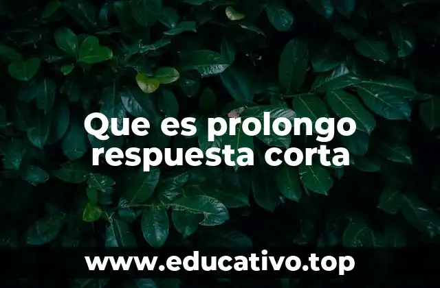 Que es prolongo respuesta corta
