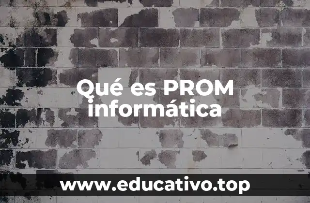 Qué es PROM informática
