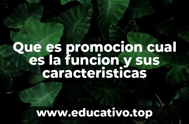 Que es promocion cual es la funcion y sus caracteristicas