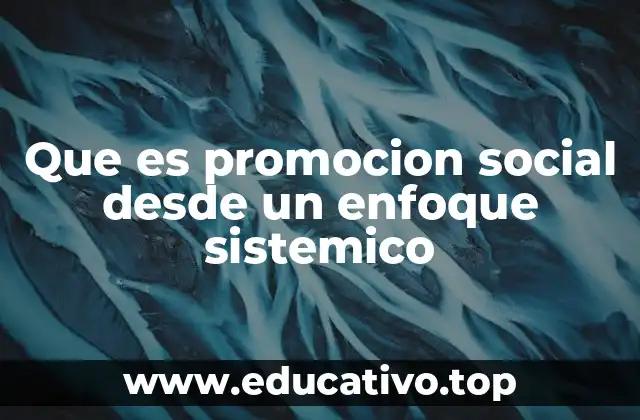 Que es promocion social desde un enfoque sistemico