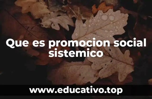 Que es promocion social sistemico