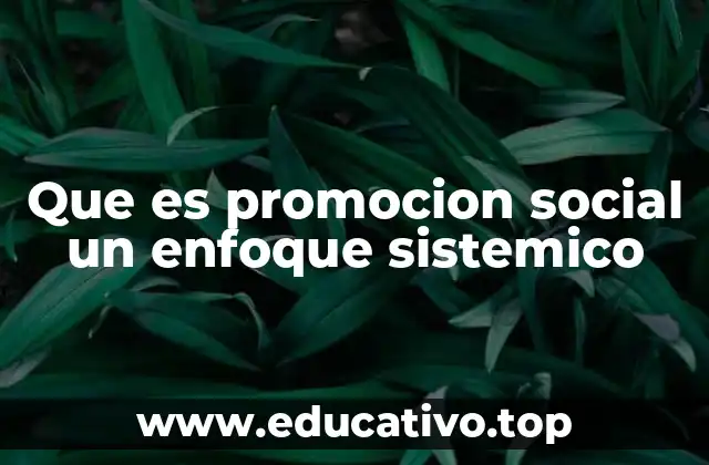 Que es promocion social un enfoque sistemico