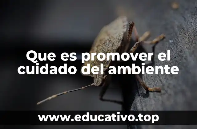 Que es promover el cuidado del ambiente