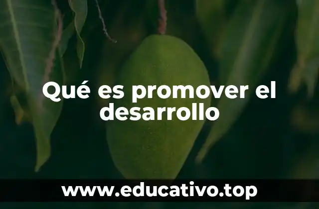 Qué es promover el desarrollo