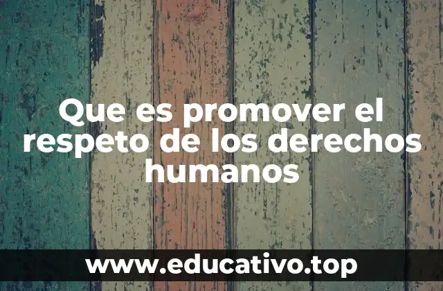 Que es promover el respeto de los derechos humanos