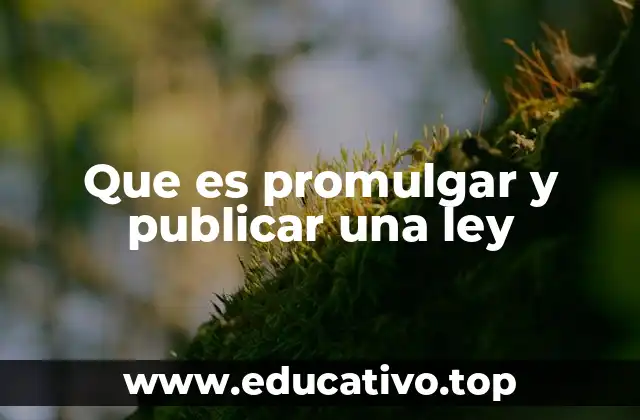 Que es promulgar y publicar una ley