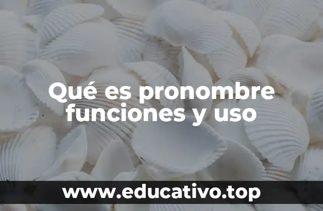 La importancia de los pronombres en la gramática y la comunicación