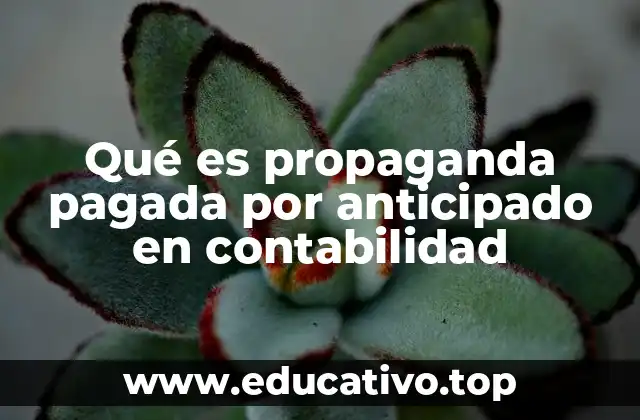 Qué es propaganda pagada por anticipado en contabilidad