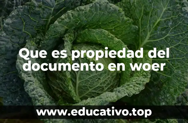 Que es propiedad del documento en woer