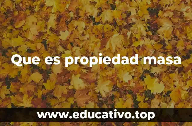 Que es propiedad masa