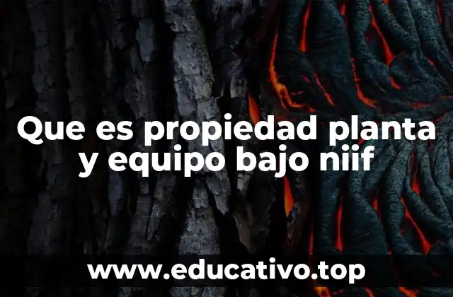 Que es propiedad planta y equipo bajo niif