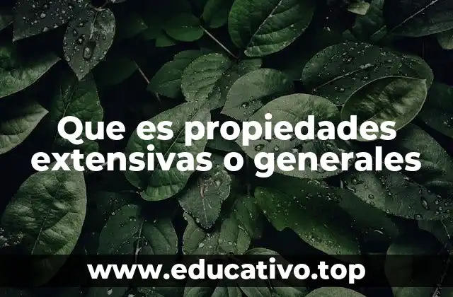Que es propiedades extensivas o generales