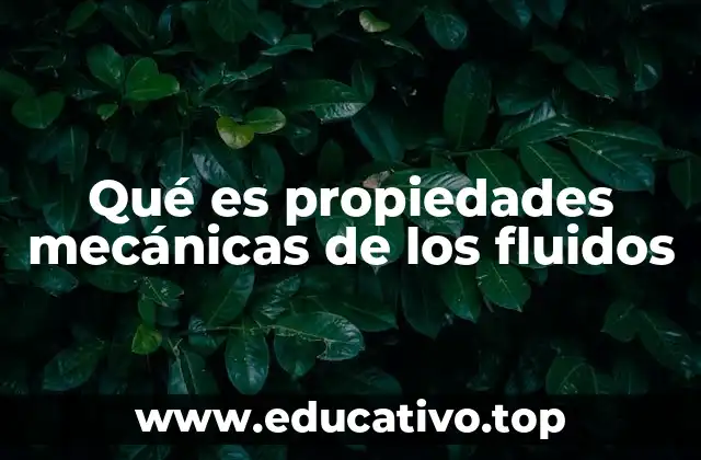 Características esenciales de los fluidos en ingeniería