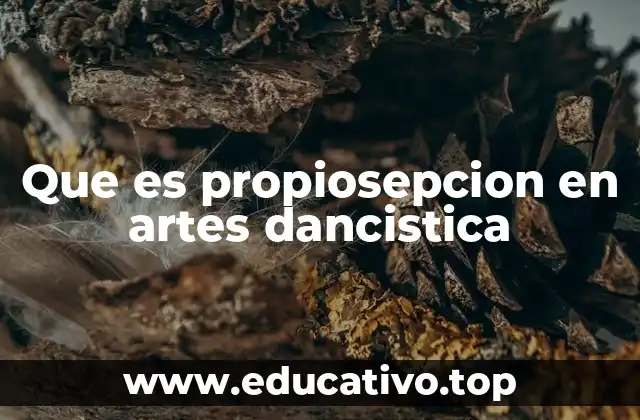 Que es propiosepcion en artes dancistica