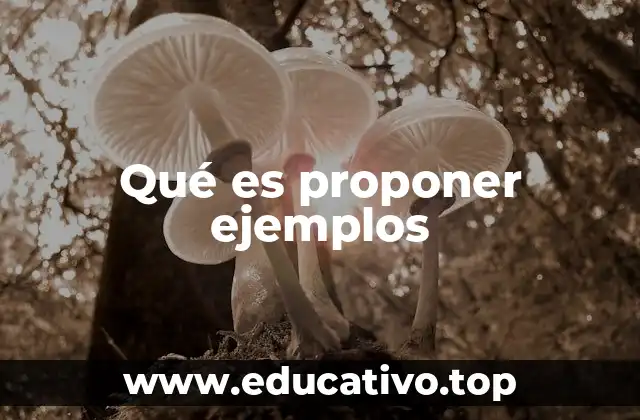 Qué es proponer ejemplos