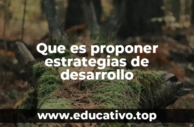 Que es proponer estrategias de desarrollo