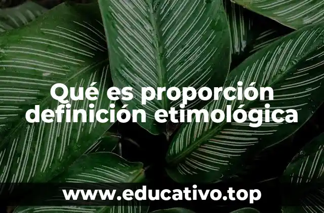Qué es proporción definición etimológica