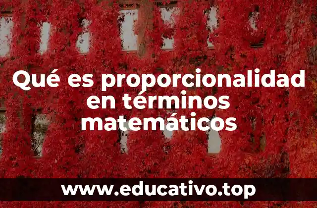 Qué es proporcionalidad en términos matemáticos