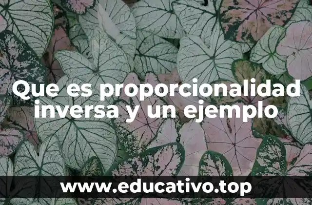 Cómo identificar una relación de proporcionalidad inversa