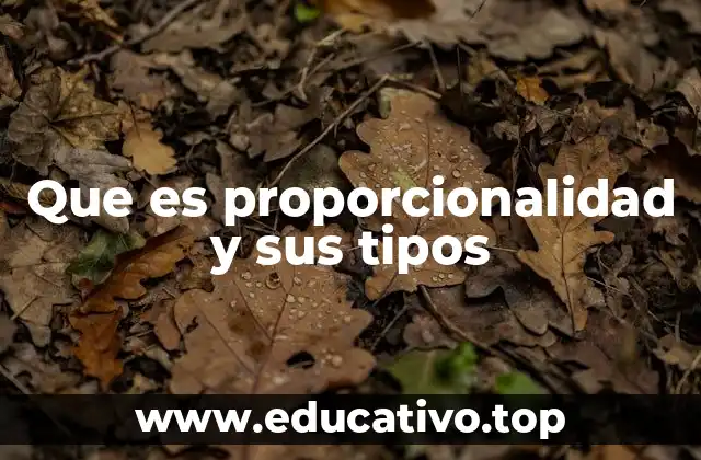 Que es proporcionalidad y sus tipos