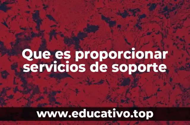 Que es proporcionar servicios de soporte