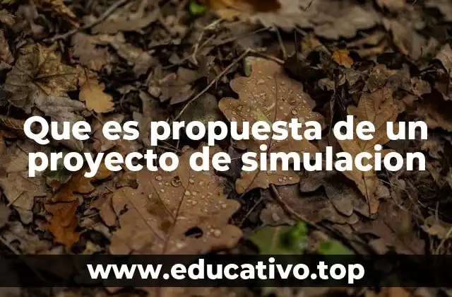 Que es propuesta de un proyecto de simulacion