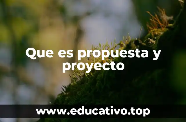 Que es propuesta y proyecto