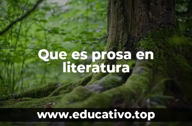 Que es prosa en literatura