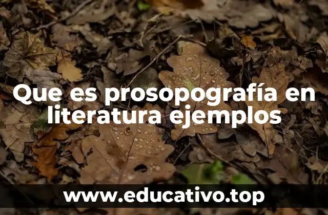 Que es prosopografía en literatura ejemplos