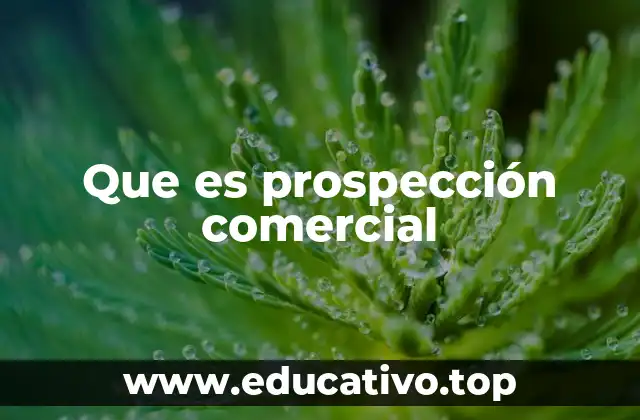 Que es prospección comercial