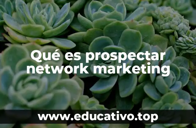 Qué es prospectar network marketing
