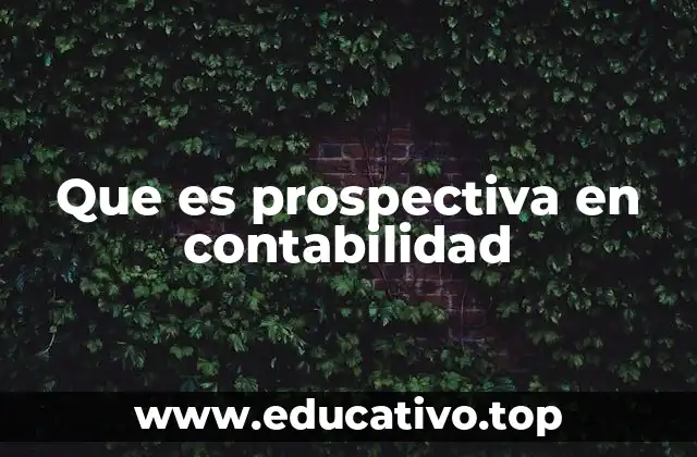 Que es prospectiva en contabilidad