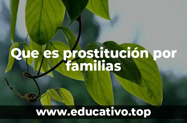 Que es prostitución por familias