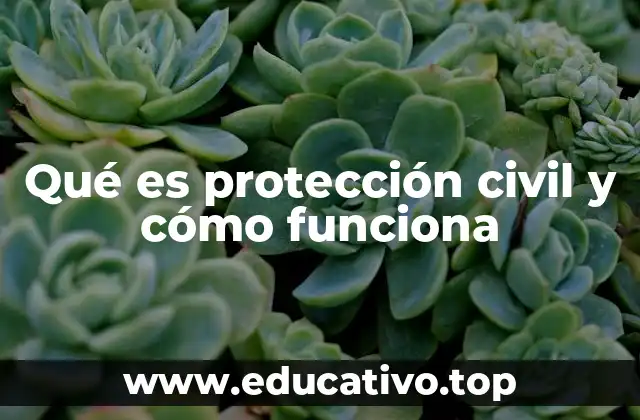 Qué es protección civil y cómo funciona