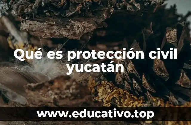 Qué es protección civil yucatán