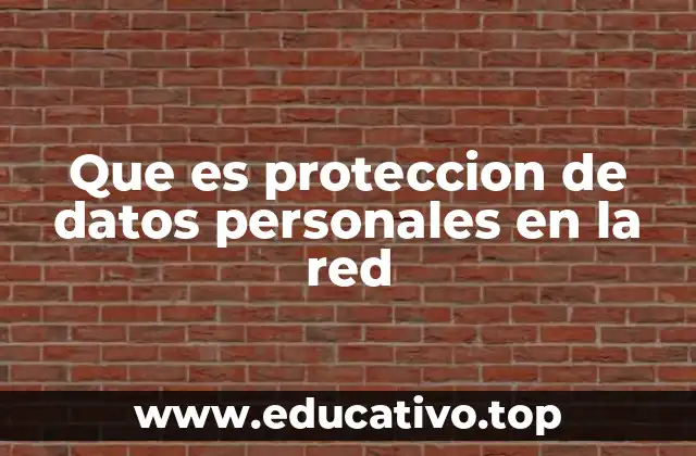 Que es proteccion de datos personales en la red