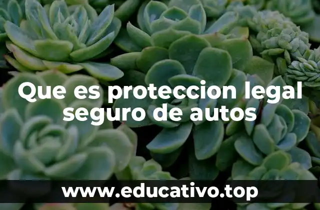 Que es proteccion legal seguro de autos