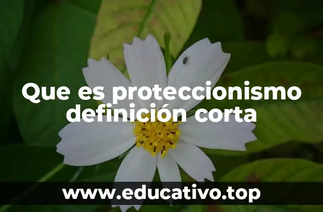 Que es proteccionismo definición corta