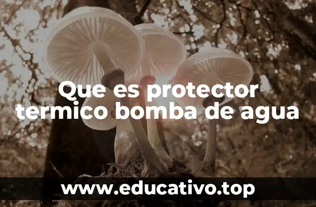 Que es protector termico bomba de agua
