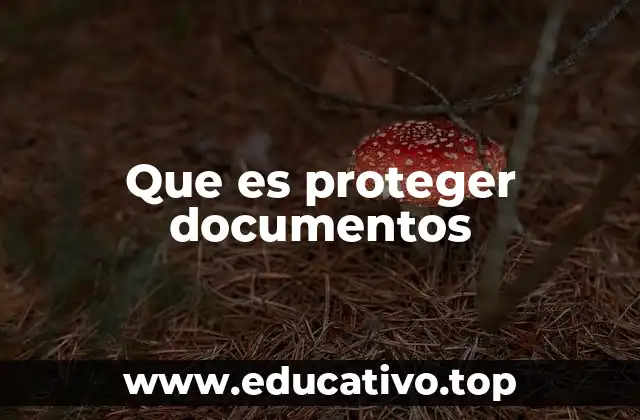 Que es proteger documentos