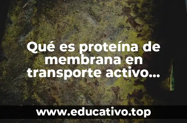 Qué es proteína de membrana en transporte activo primario