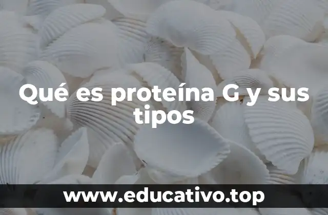 Qué es proteína G y sus tipos